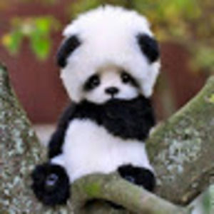 Meet your Posher, Maci